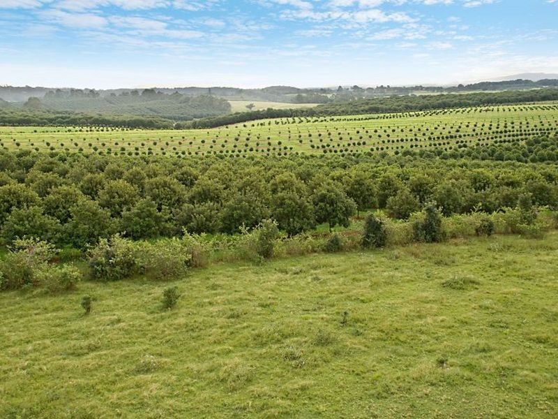 Lot 24 Bruxner Highway, Wollongbar NSW 2477