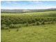 Lot 24. Bruxner Highway, Wollongbar NSW 2477