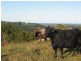 450 Uralba Road, Uralba NSW 2477