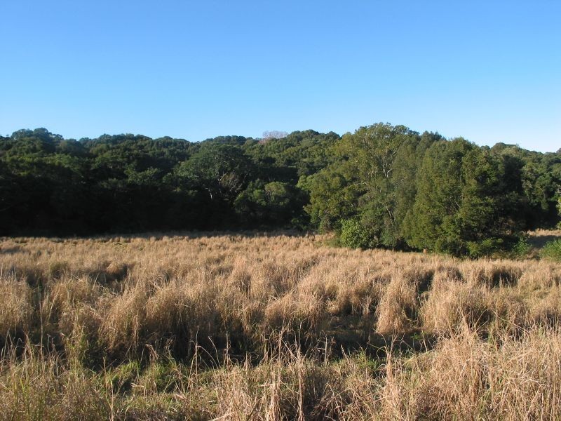 450 Uralba Road, Uralba NSW 2477