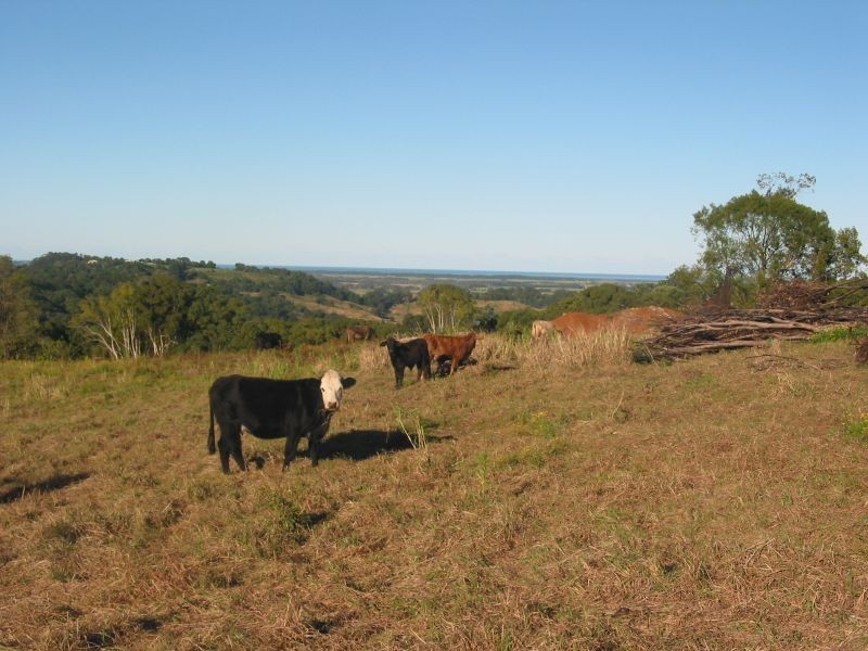 450 Uralba Road, Uralba NSW 2477