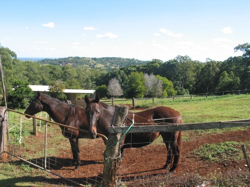 369. Connor Road, Tregeagle NSW 2480