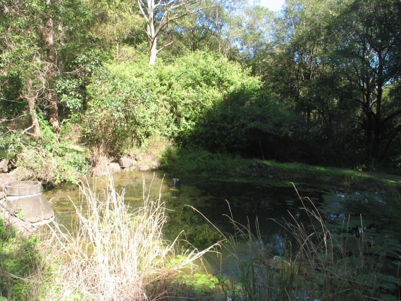 369. Connor Road, Tregeagle NSW 2480