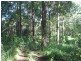 369. Connor Road, Tregeagle NSW 2480