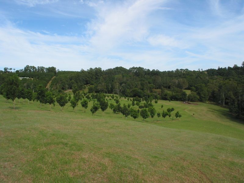 122 Alstonvale Road, Alstonville NSW 2477