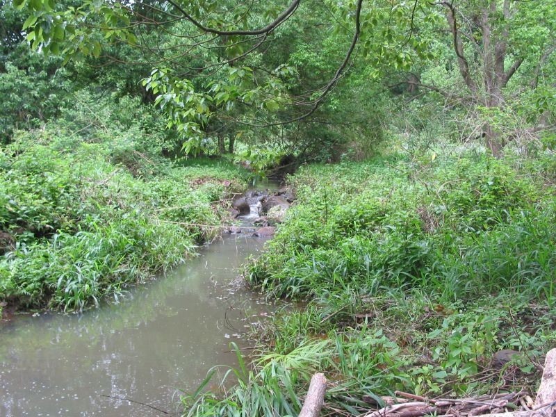 278 Marom Creek Road, Meerschaum Vale NSW 2477