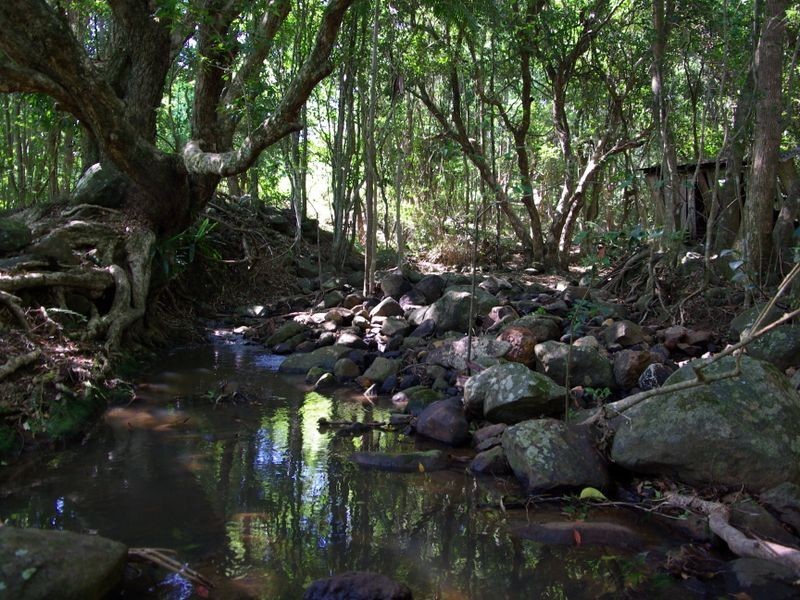 278 Marom Creek Road, Meerschaum Vale NSW 2477