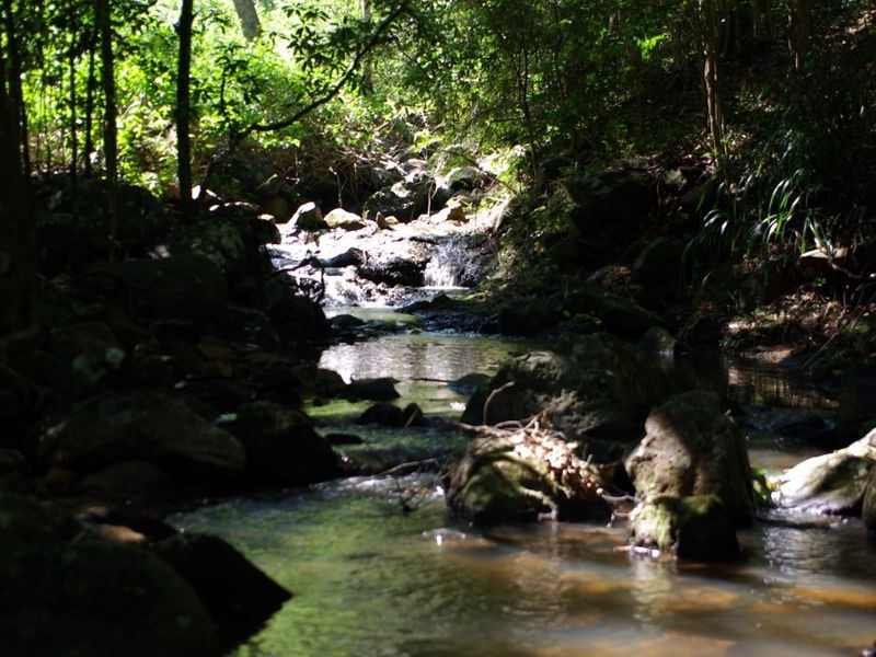 278 Marom Creek Road, Meerschaum Vale NSW 2477