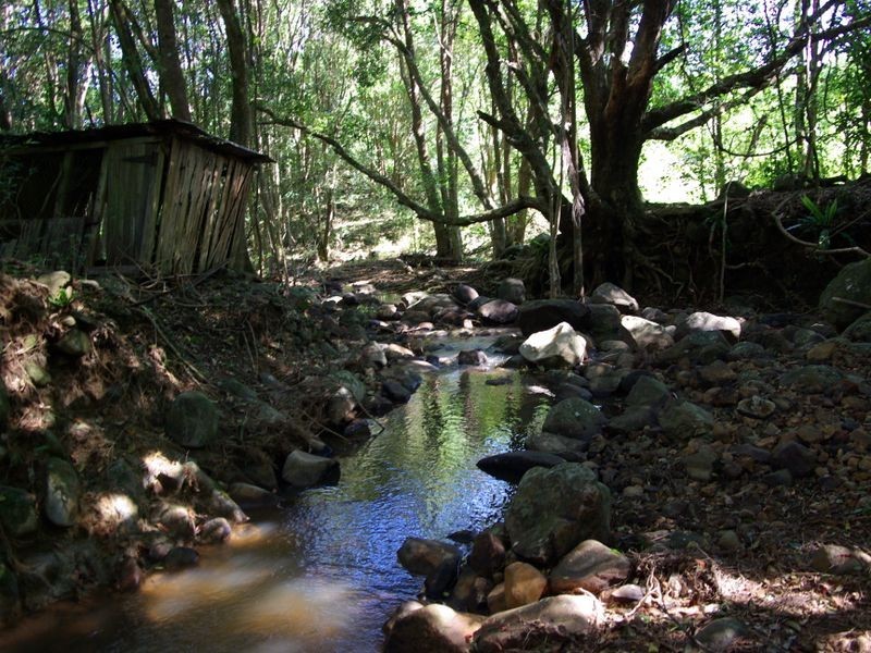 278 Marom Creek Road, Meerschaum Vale NSW 2477