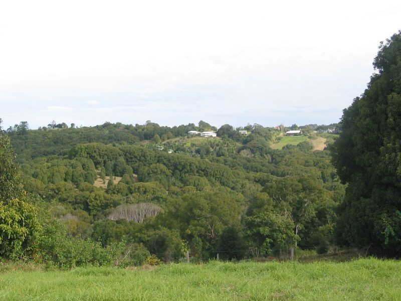 1135 Booyong Road, Clunes NSW 2480