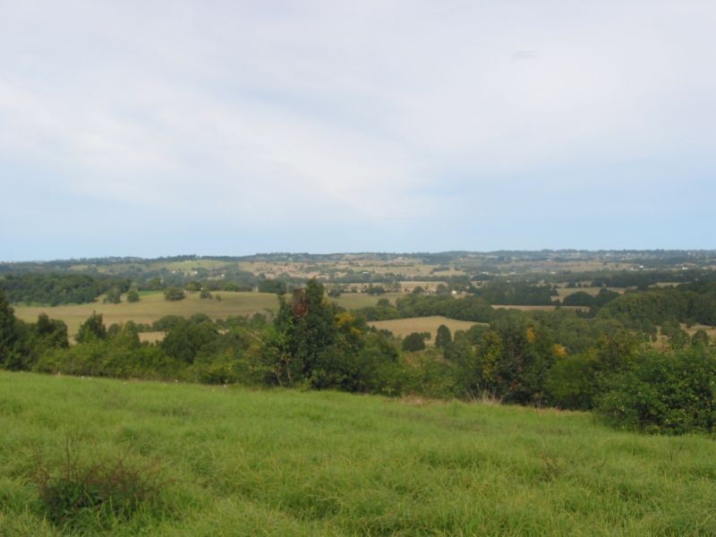 1135 Booyong Road, Clunes NSW 2480