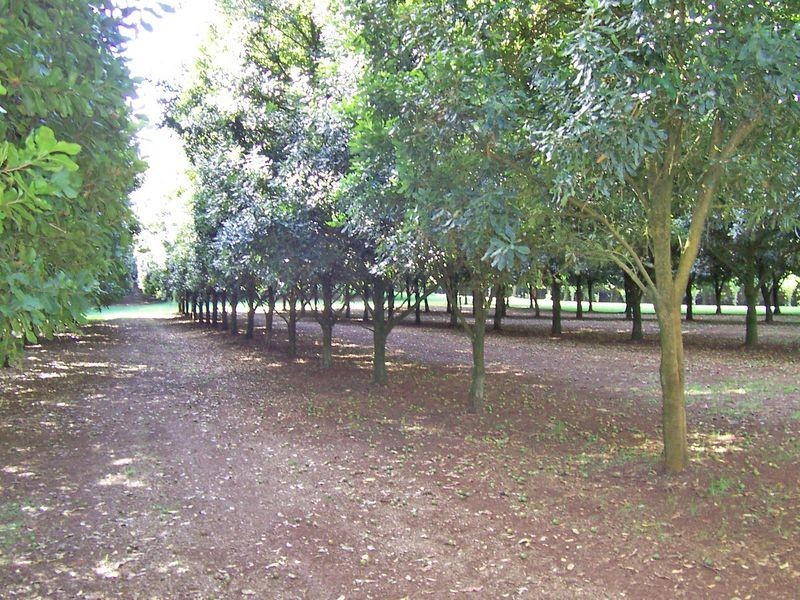 123. Alstonvale Road, Alstonville NSW 2477