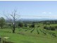 1118 Bruxner Highway, Richmond Hill NSW 2480