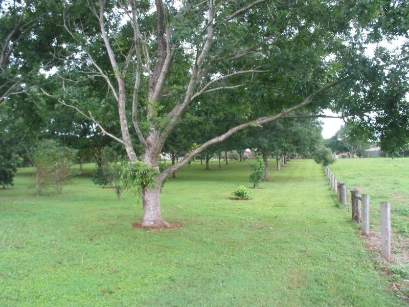 101 Rous Cemetery Road, Rous NSW 2477