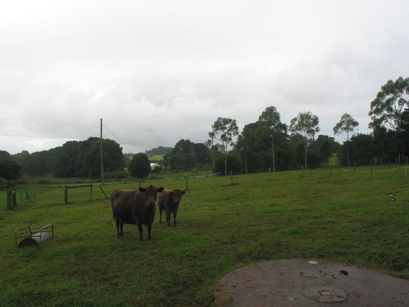 101 Rous Cemetery Road, Rous NSW 2477