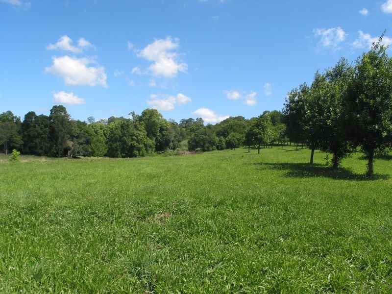 65. Gibsons Lane, Alstonville NSW 2477