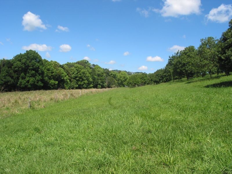 65. Gibsons Lane, Alstonville NSW 2477