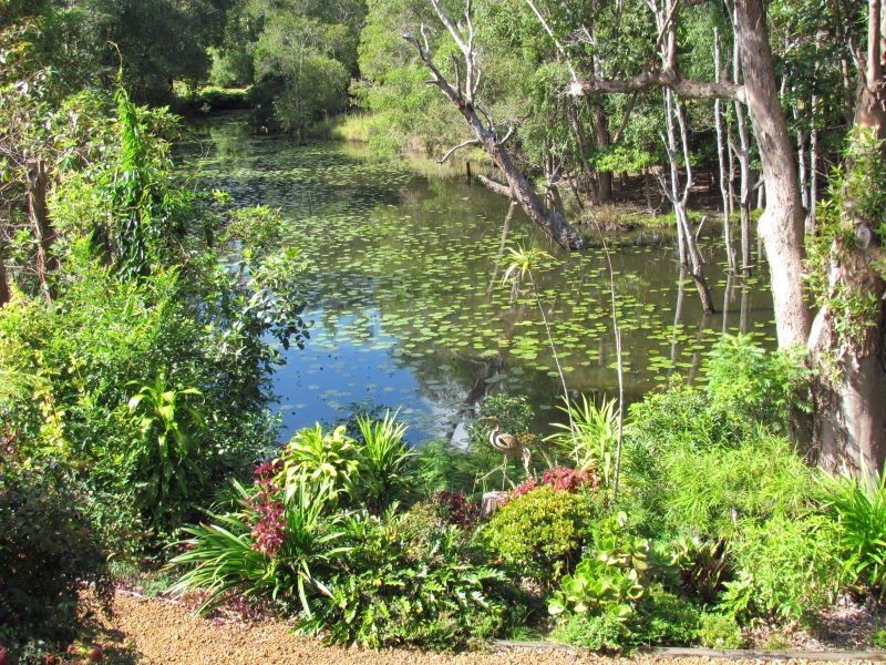 67 Platypus Drive, Uralba NSW 2477