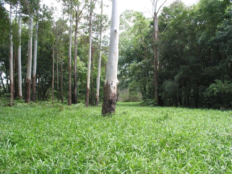 575. Bagotville Road, Meerschaum Vale NSW 2477