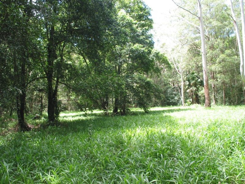 575. Bagotville Road, Meerschaum Vale NSW 2477
