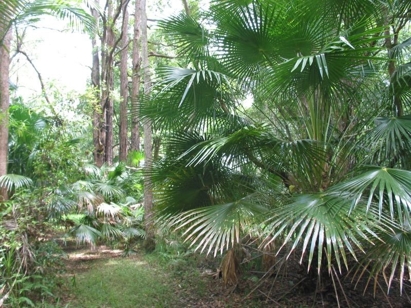 575. Bagotville Road, Meerschaum Vale NSW 2477