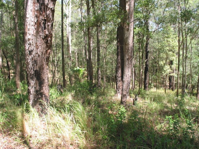 575. Bagotville Road, Meerschaum Vale NSW 2477