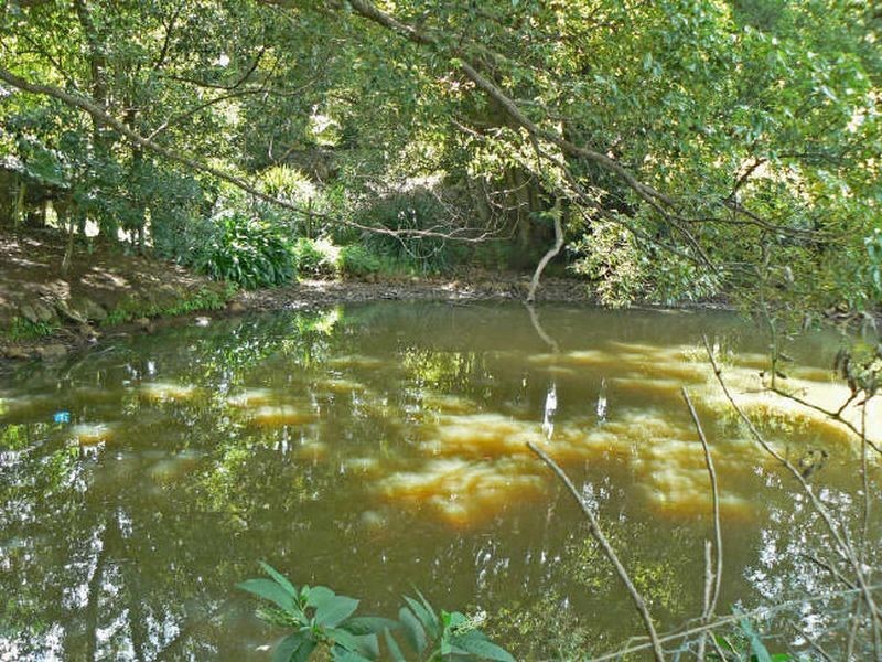 361 Rifle Range Road, Alstonville NSW 2477