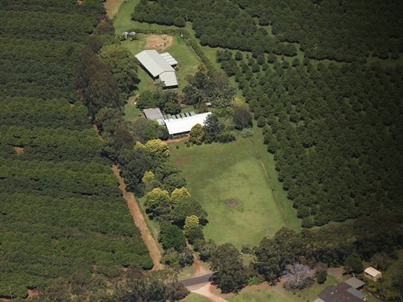 595 Dalwood Road, Rous Mill NSW 2477