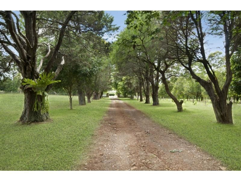 595 Dalwood Road, Rous Mill NSW 2477