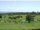 1118 Bruxner Highway, Richmond Hill NSW 2480