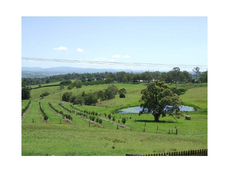 1118 Bruxner Highway, Richmond Hill NSW 2480