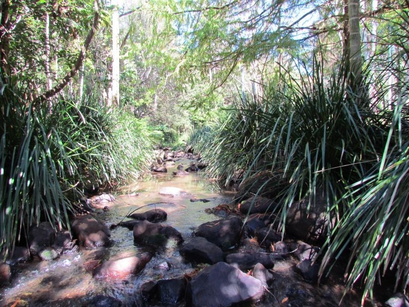 3./892 Teven Road, Teven NSW 2478