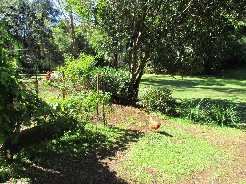 3./892 Teven Road, Teven NSW 2478