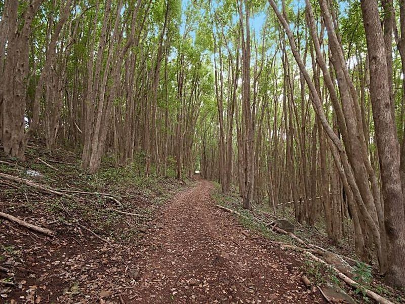 1 Taylors Road, Eureka NSW 2480