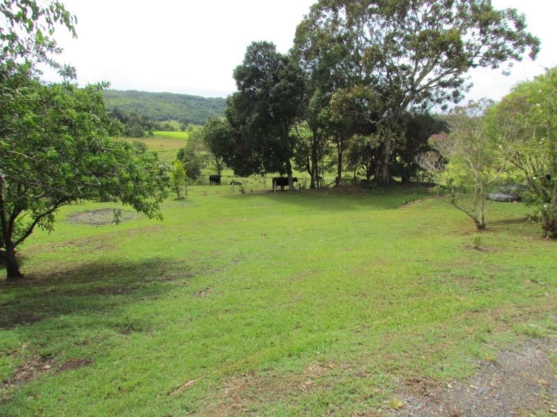 1129 Wardell Road, Meerschaum Vale NSW 2477