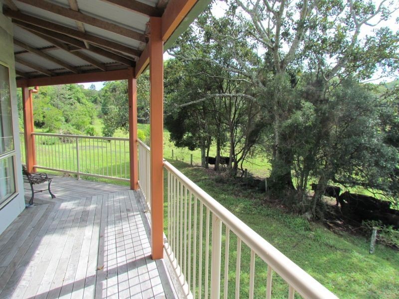 1129 Wardell Road, Meerschaum Vale NSW 2477