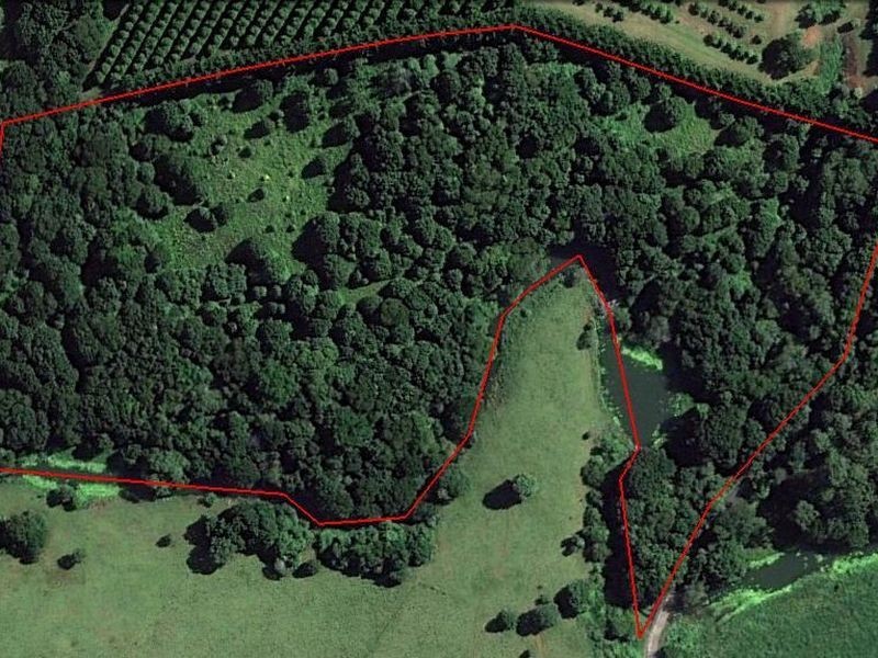 163. Boundary Road, Lindendale NSW 2480