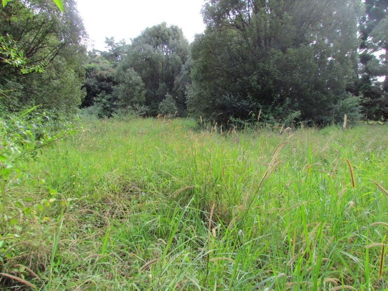 163. Boundary Road, Lindendale NSW 2480