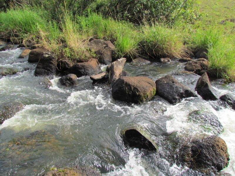 163. Boundary Road, Lindendale NSW 2480