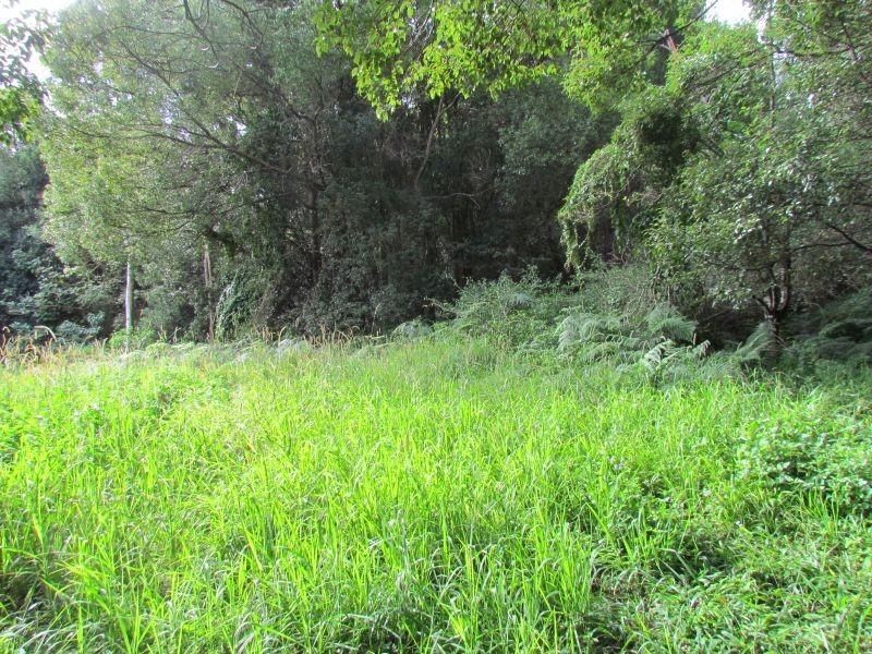 163. Boundary Road, Lindendale NSW 2480