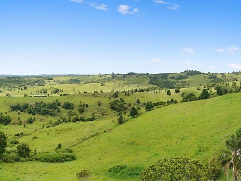 154 Cameron Road, Mcleans Ridges NSW 2480