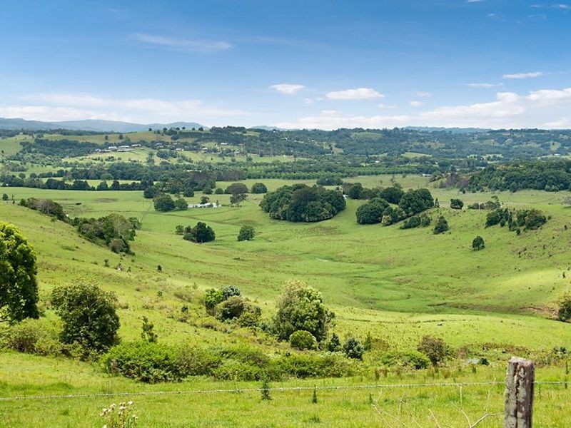 154 Cameron Road, Mcleans Ridges NSW 2480