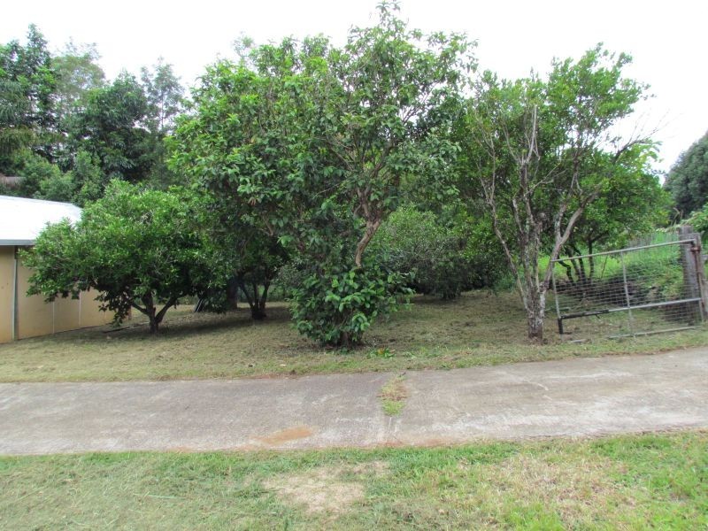 812 Teven Road, Teven NSW 2478