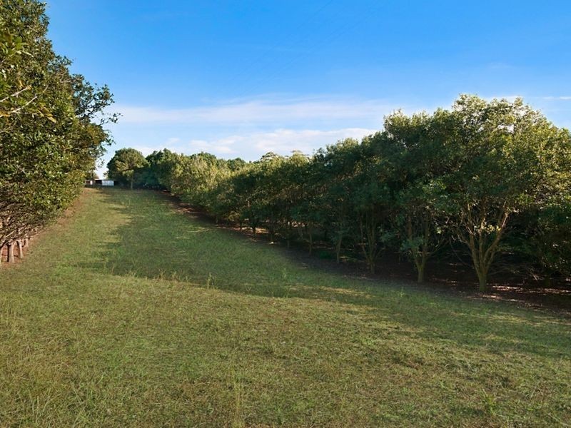 15 Alphadale Road, Lindendale NSW 2480
