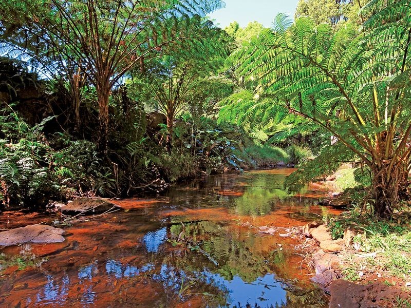 10 Main Street, Alstonville NSW 2477