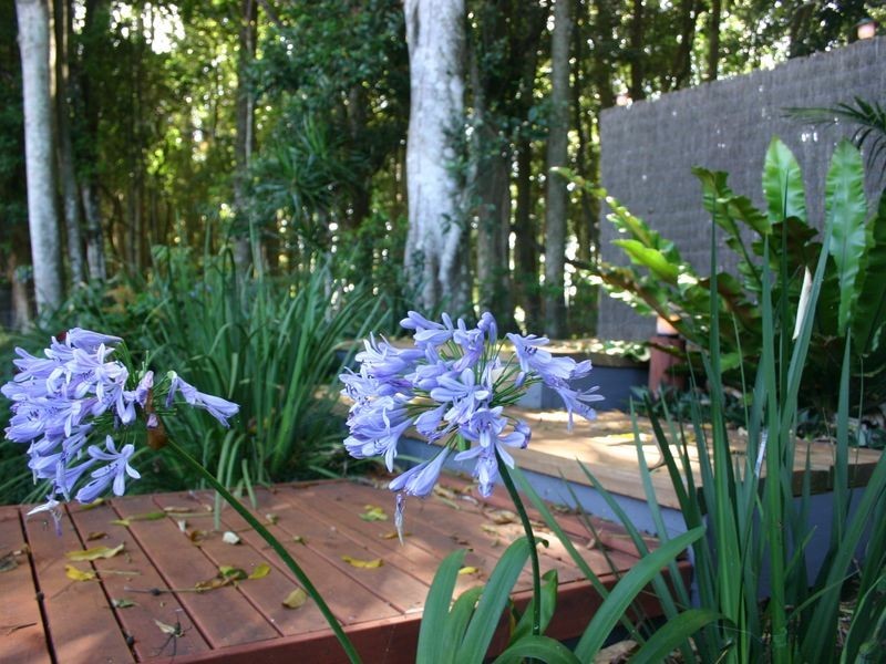 6 Calypso Court, Alstonville NSW 2477