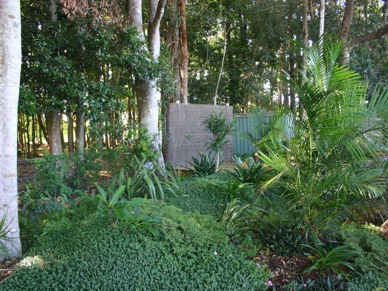 6 Calypso Court, Alstonville NSW 2477