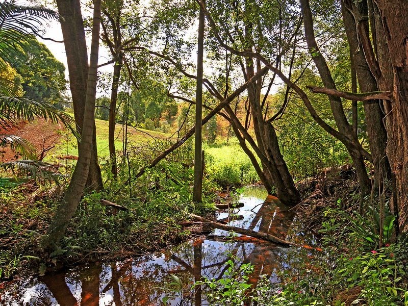 25 Central Park Drive, Wollongbar NSW 2477