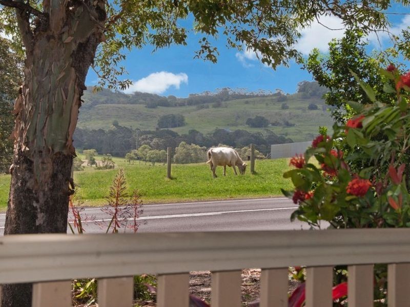 929 Wardell Road, Meerschaum Vale NSW 2477