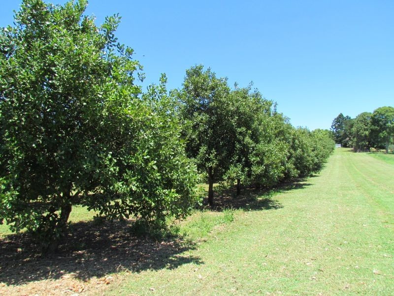 Alstonville NSW 2477